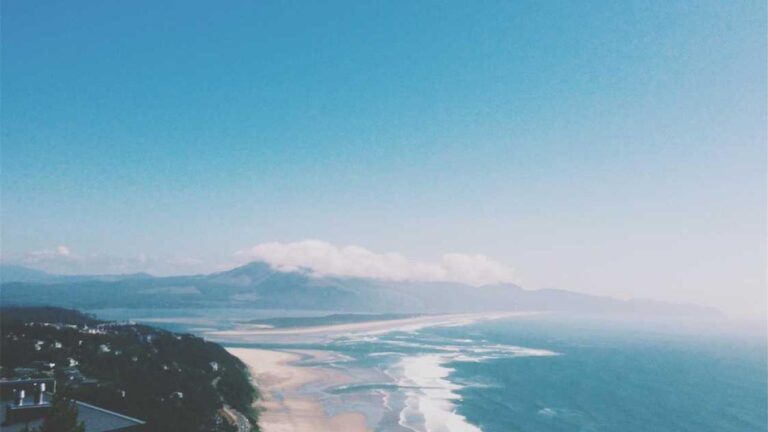 How Is 11Xplay Dot Pro Different From 11Xplay Pro In?