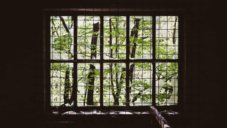 How To Start The Cricbet99 Withdrawal Process?